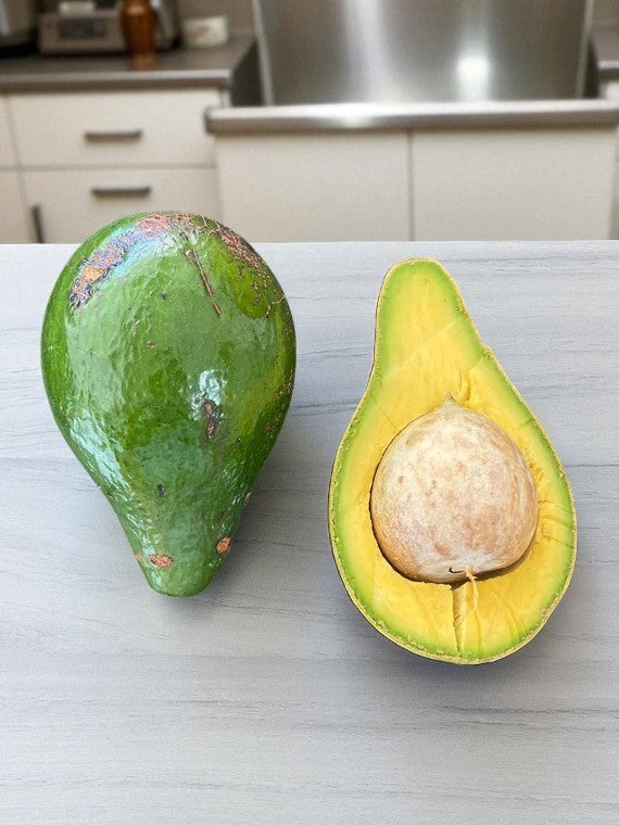 AVOCADO LULA