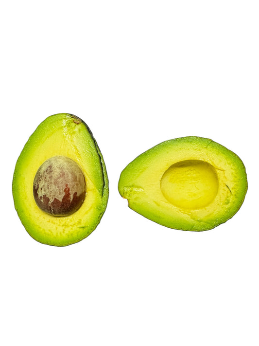 HASS AVOCADO TREE